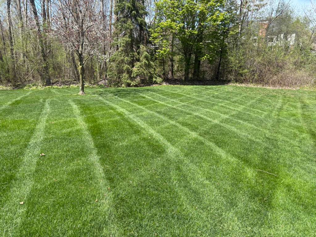 Large backyard with crisp diagonal mowing stripes by Alfie's Lawn Care Rochester Hills MI